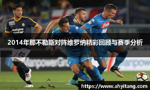 2014年那不勒斯对阵维罗纳精彩回顾与赛季分析